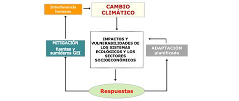 Qué es la adaptación al cambio climático Plataforma sobre