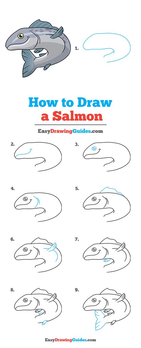 How to Draw a Salmon - Really Easy Drawing Tutorial