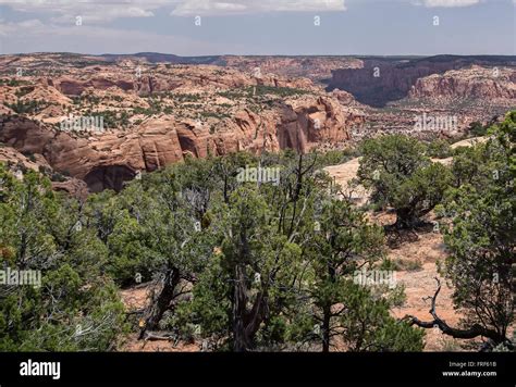 Navajo National Monument, Arizona Stock Photo - Alamy