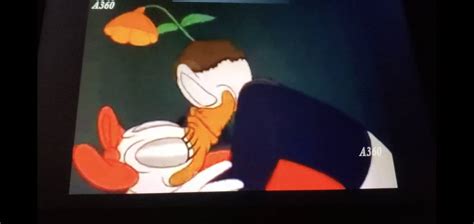 Donald and daisy kiss scene 16 by Romanceguy on DeviantArt