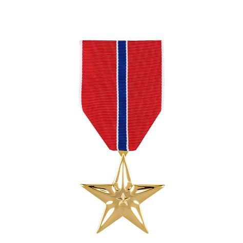 Medal Lrg Anod. Bronze Star - The Marine Shop