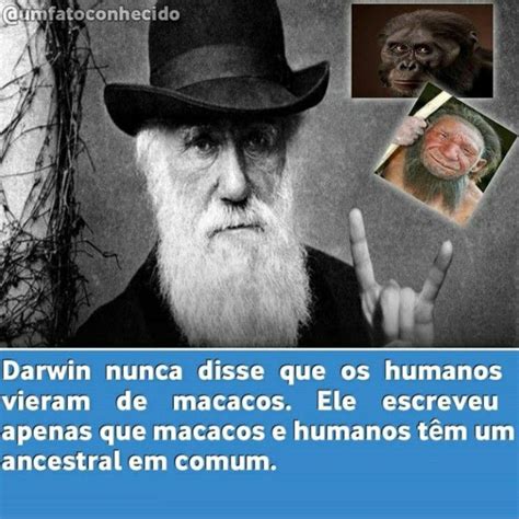 Curiosidades Sobre A Vida 50 Fatos Interessantes Sobre O Universo Riset