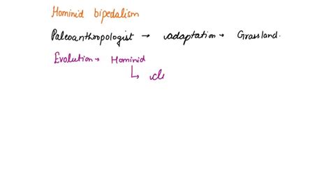 SOLVED: The origins of Homininae are closely tied to the origins of bipedalism, which evolved in ...