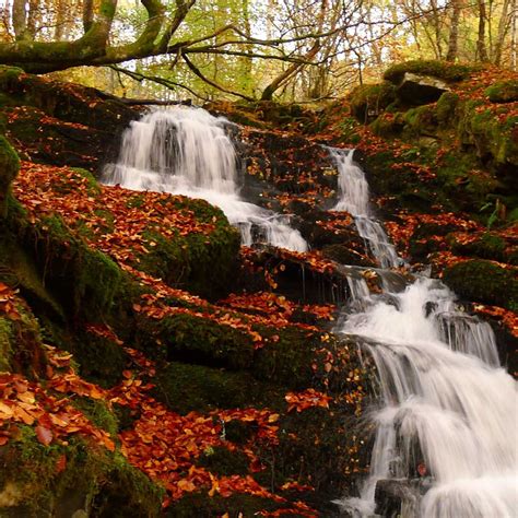 Top Autumn Walks Scotland