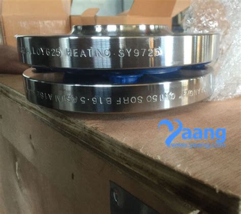 Asme B Alloy Sorf Flange Dn Cl Yaang