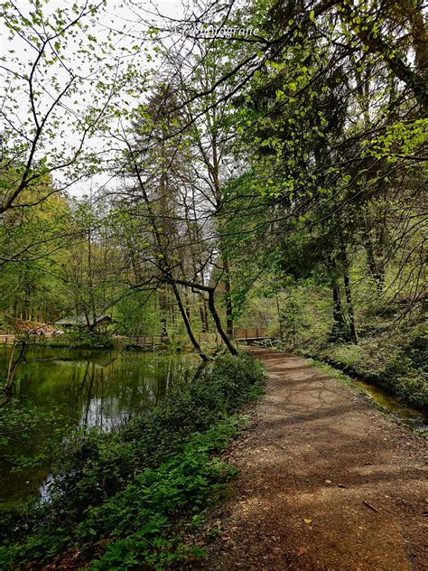 Naturmomente Wildpark Brudergrund In Erbach Oldtimer 1980 Flickr