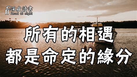 人與人之間的相遇，從來不是巧合，而是命定的緣分！【深夜讀書】 Youtube