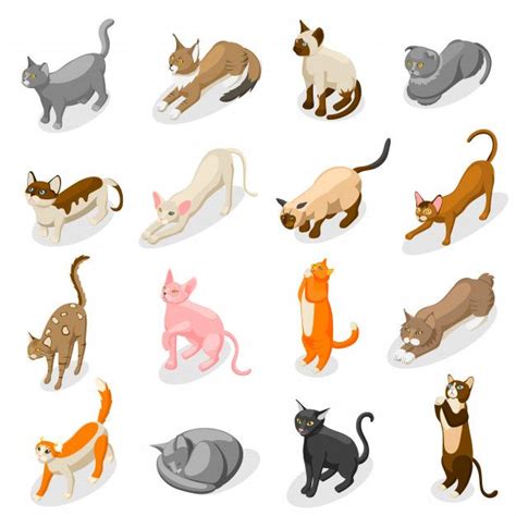 Free Vector Purebred Cats Isometric Icons Purebred Cats Isometric