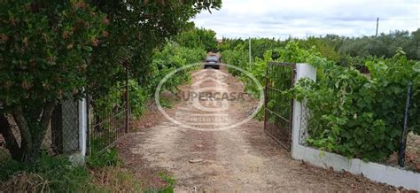 Quintas E Casas R Sticas Quinta Rural T Venda Em Carregueira