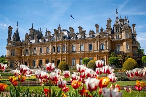 The 9 Very Best Things To Do At National Trust Waddesdon The Bumper Crew