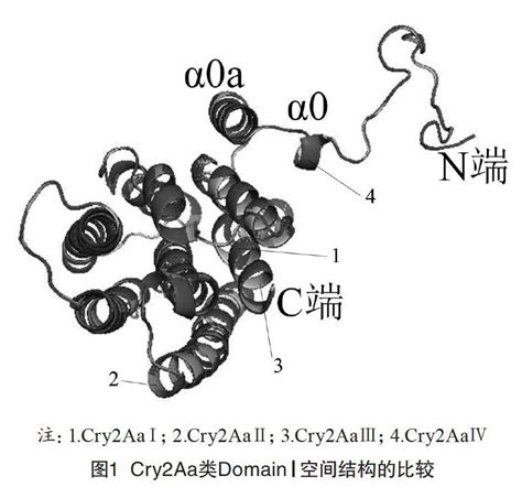 苏云金芽孢杆菌cry2aa型杀虫晶体蛋白的分类与构效参考网