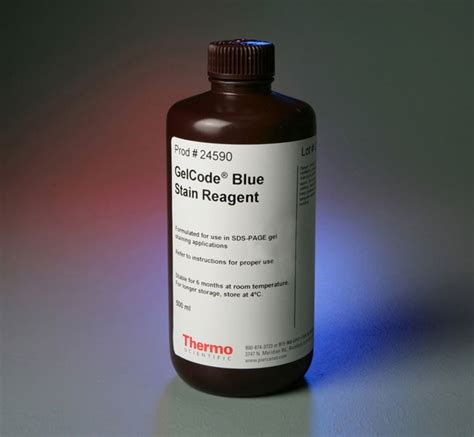 Thermo Scientific™ Gelcode™ Blue Stain Reagent Gelcode™ Blue Stain