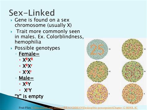 Mendelian Genetics Chapter 10 And Ppt Download