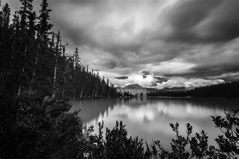 Fond d écran lumière du soleil paysage forêt Monochrome Lac eau