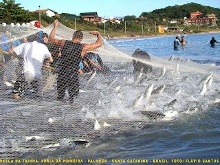 Secretaria Turismo Palhoça Pesca da Tainha