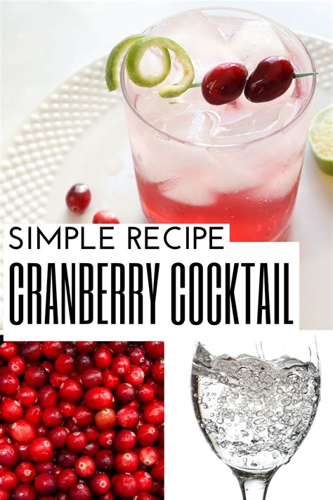 Sparkling Vodka Cranberry Cocktail Creative Ramblings