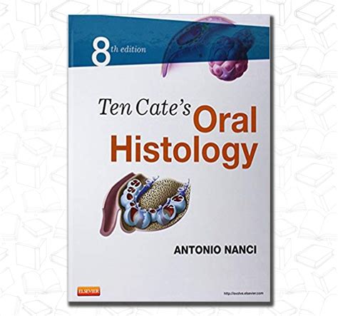 Ten Cates Oral Histology Development Structure And Function Dent13