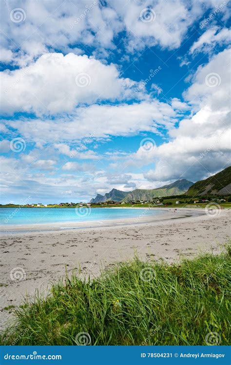 Spiaggia Delle Isole Dell Arcipelago Di Lofoten Della Spiaggia Immagine