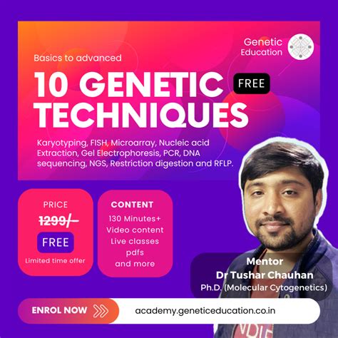 Genetics Of Mthfr Gene Mutations Variants Inheritance And Testing