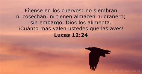 10 de junio de 2023 Versículo de la Biblia del día Lucas 12 24