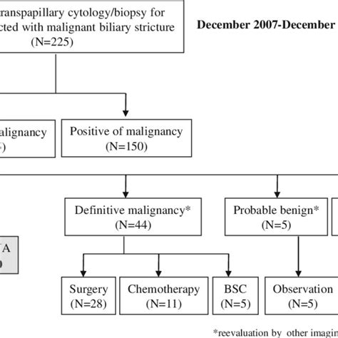 Flow Chart Depicting Patient Enrollment Eus Fna Endoscopic Download Scientific Diagram