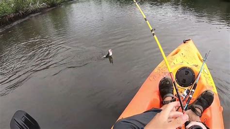 PESCARIA DE ROBALO TEMPO FRIO E CHUVOSO SERÁ QUE DEU CERTO YouTube