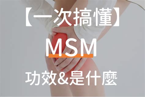 【一次搞懂】msm是什麼？退化性關節炎吃了有效嗎？ 健康指南