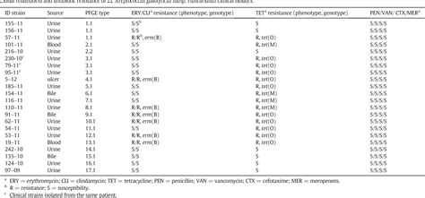 Table 3 From Identification Antimicrobial Resistance And Molecular