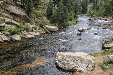 Cheesman Canyon Sediment Update - Pat Dorsey Fly Fishing