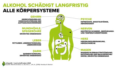 Leben Ohne Alkohol 5