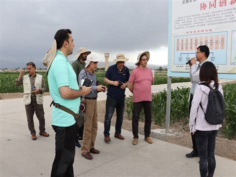 张掖市农业科学研究院 “中巴伊经济走廊新垦绿洲地力与产能协同提升技术集成与示范”国际合作项目 组来中国科协”海智计划”张掖市 农业科学研究院