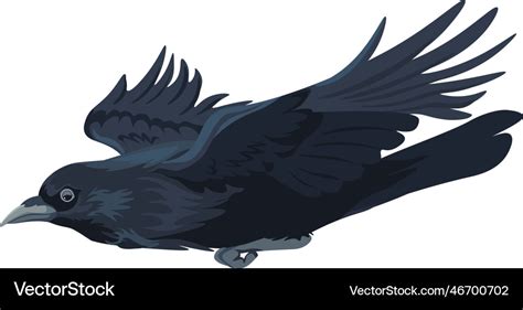 Large black bird flying crow or rook avian animal Vector Image