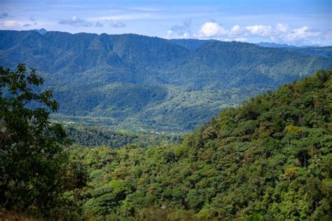 Mindo Cloud Forest: Nature and Wildlife in Ecuador – Bilivoka