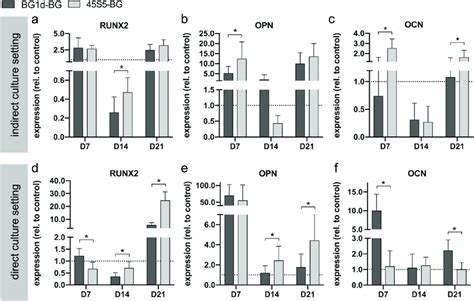 Gene Expression As A Correlate Of Osteogenic Differentiation During The