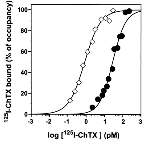 The β subunit of the high-conductance calcium-activated potassium