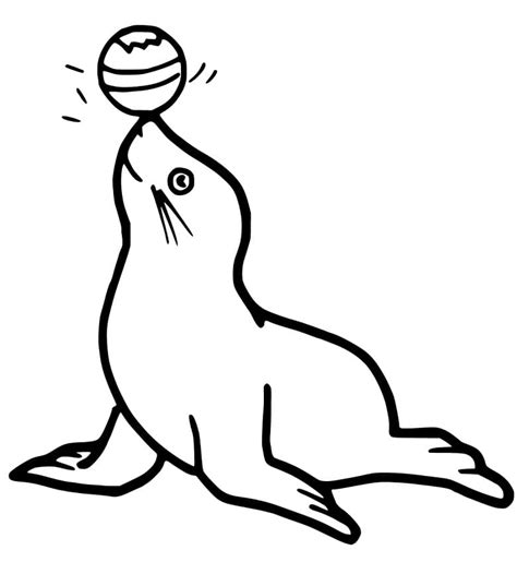 Adorable Sea Lion Coloring Page Free Printable Coloring Pages For Kids