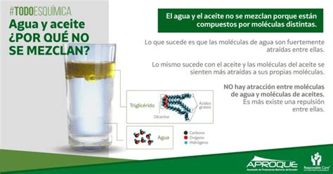 Por Qu El Aceite Y El Agua No Se Mezclan Descubre La Respuesta En