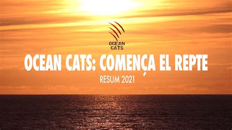 Documental Ocean Cats Comen A L Aventura Resum Youtube