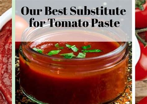 Best Tomato Paste Substitutes • The Wicked Noodle The Tech Edvocate