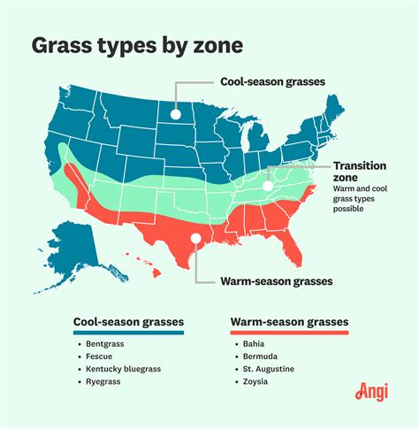 Cool Season Vs Warm Season Grass Which Is Best For You