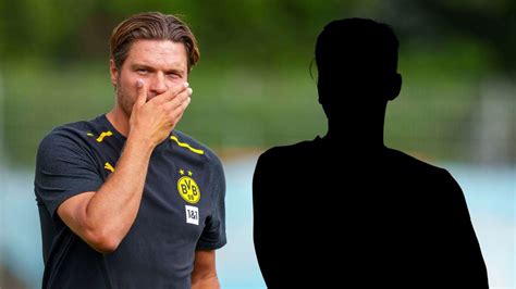 Bvb Hat Ex Bundesliga Coach Als Nachfolger F R Edin Terzic Im Blick