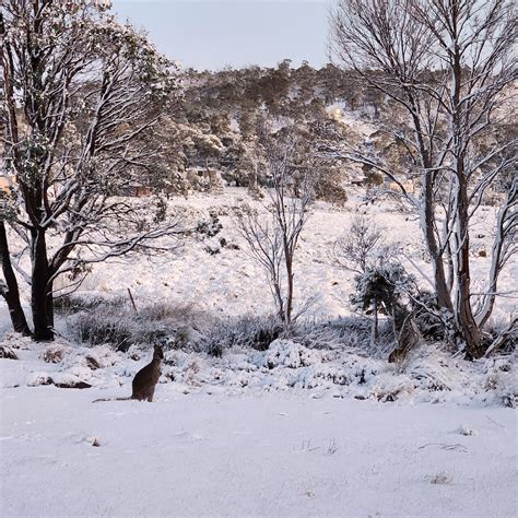 miena australia   places  visit tripadvisor