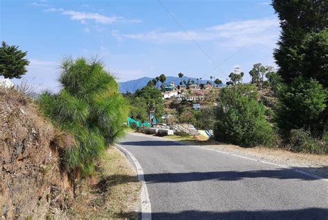 Discover the route from Pantnagar Airport to Almora: A Road Less Traveled