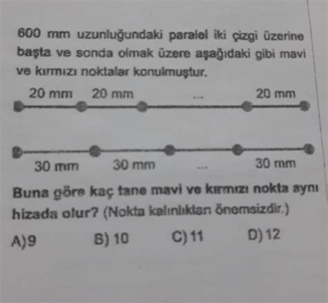 Soruyu Cevaplar M S N Z Eodev