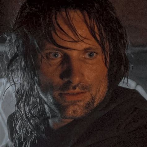 •the fellowship of the ring icon• | Aragorn, Lord of the rings, The hobbit