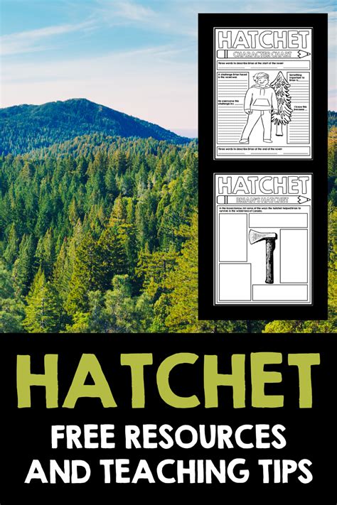 7 Activities For Teaching Hatchet By Gary Paulsen Artofit