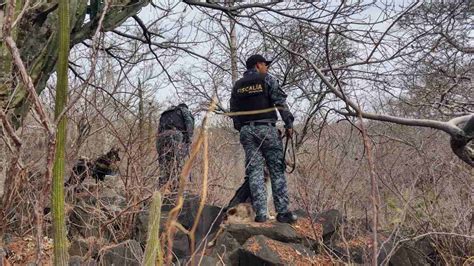 Descubren Fosas Clandestinas en Zirimícuaro Michoacán N