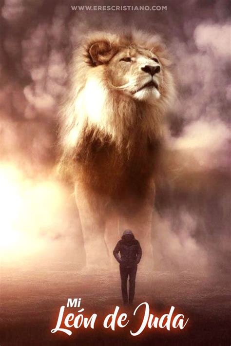 Im Genes Cristianas Le N De Jud Lion Pictures Lion Of Judah Lion