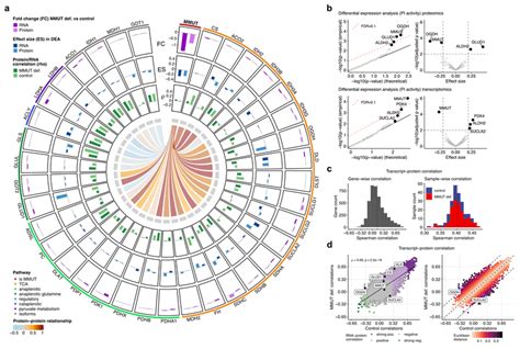 Transcript Protein And Protein Protein Correlation Analyses Reveal