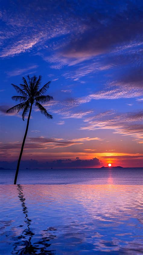 tropical beach sunset wallpapers  iphone